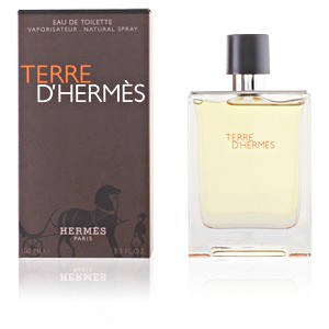 Terre D'hermès Eau De Toilette Vaporizador 100 Ml