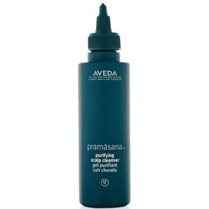 Limpiador Purificante Para El Cuero Cabelludo De Aveda (150 Ml)